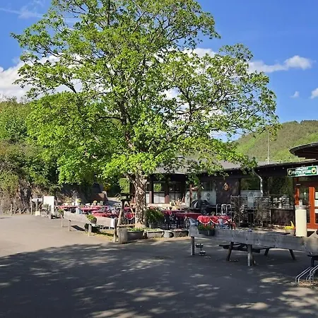 Freistehendes Haus Urftseeroute Am Nationalpark Gemuend! * Schleiden