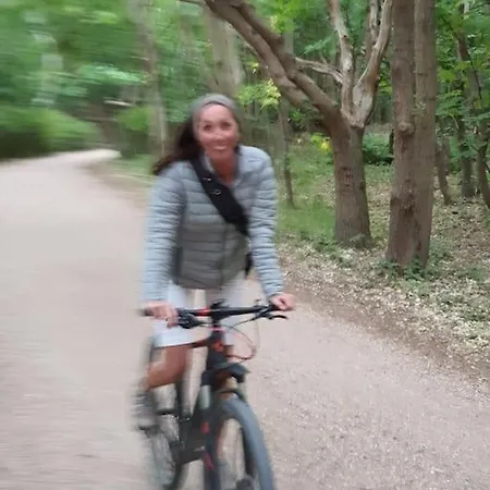 Freistehendes Haus Im Nationalpark Gemuend Mit E-bike Option!