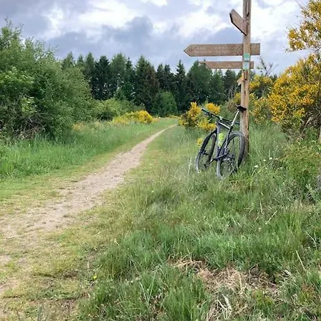 Freistehendes Haus Urftseeroute Am Nationalpark Gemuend! Feriehus Schleiden