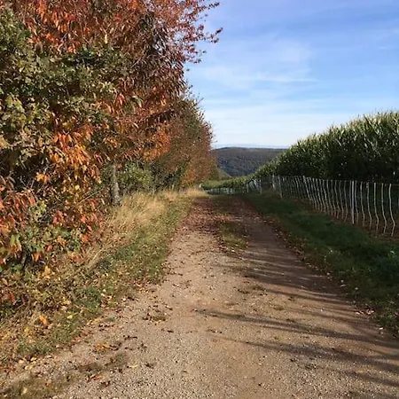 Freistehendes Haus Im Nationalpark Gemuend Mit E-bike Option! Casa de Férias *