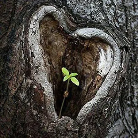 Casa de Férias Freistehendes Haus Im Nationalpark Gemuend Mit E-bike Option! Schleiden