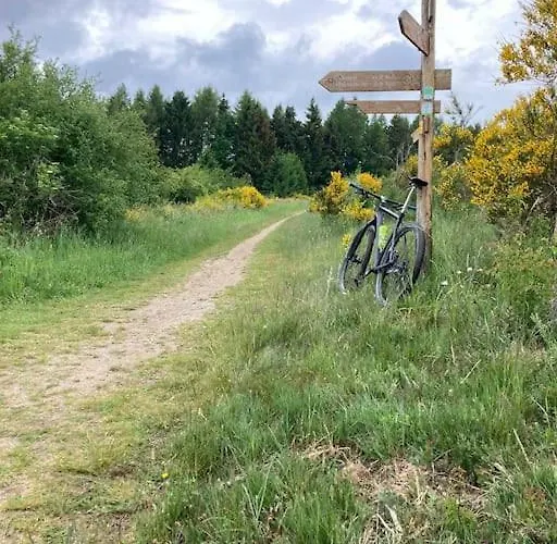 Freistehendes Haus Urftseeroute Am Nationalpark Gemuend! 度假居 施莱登