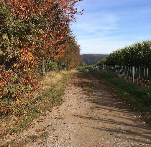 Freistehendes Haus Urftseeroute Am Nationalpark Gemuend! 度假居 *