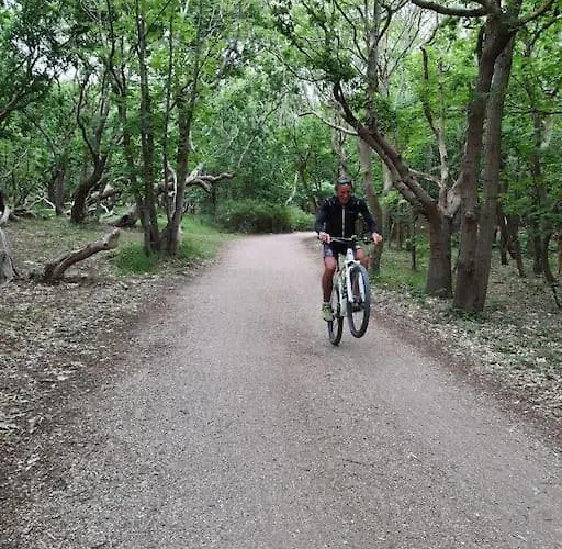 Сasa de vacaciones Freistehendes Haus Im Nationalpark Gemünd Mit E-bike Option! Schleiden